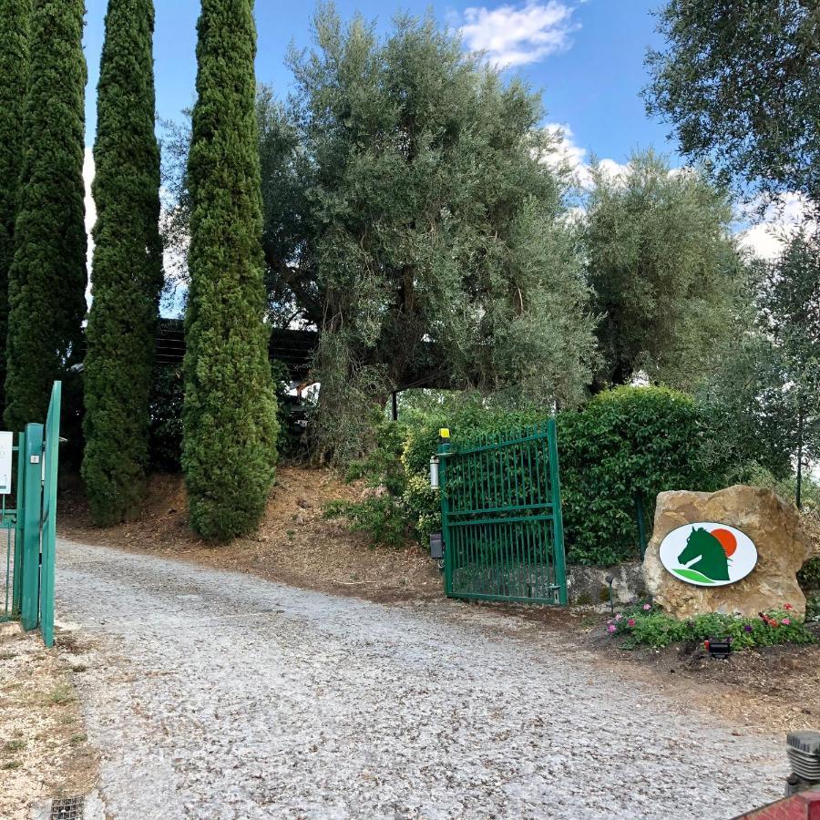 Agriturismo Poggio Del Drago Montemerano Exterior photo