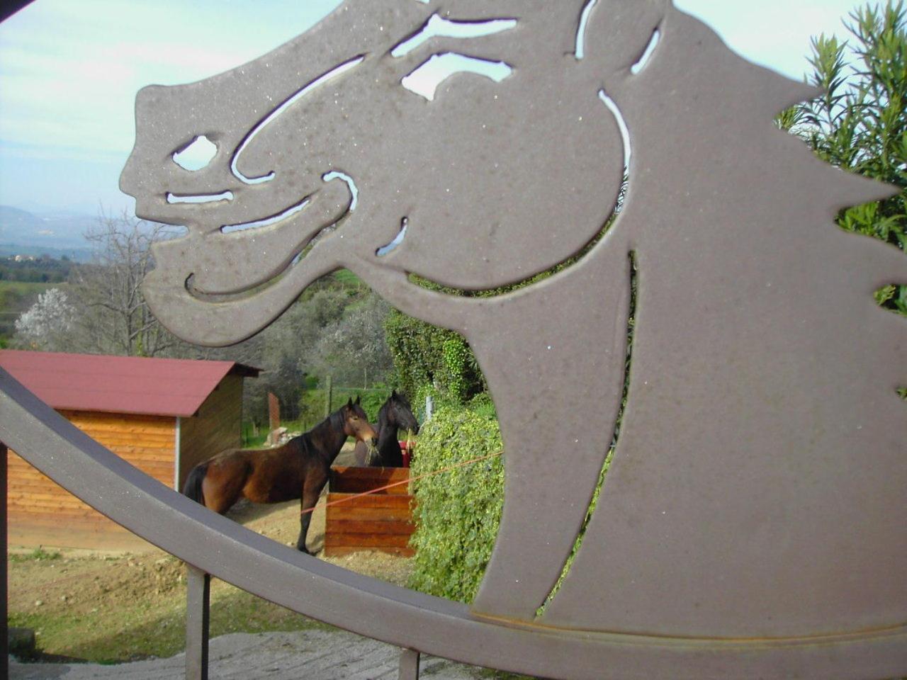 Agriturismo Poggio Del Drago Montemerano Exterior photo